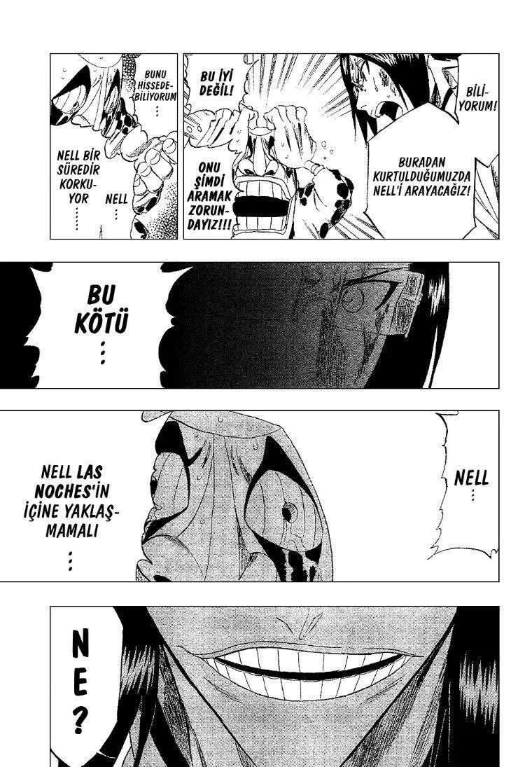 Bleach - Bölüm 289 - Sayfa 17