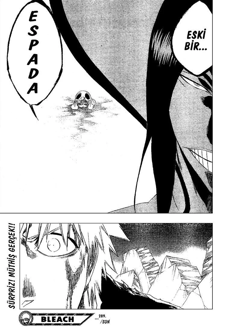 Bleach - Bölüm 289 - Sayfa 19