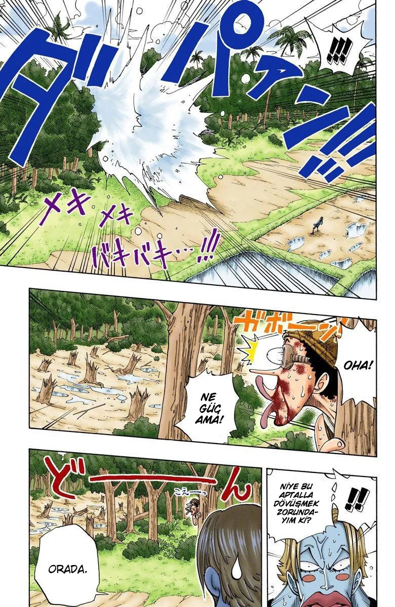 One Piece - Bölüm 87 - Sayfa 17