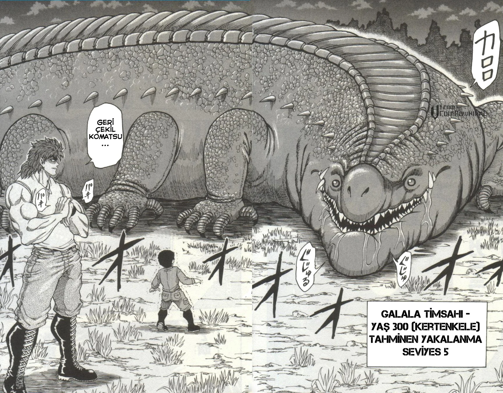 Toriko - Bölüm 2 - Sayfa 13