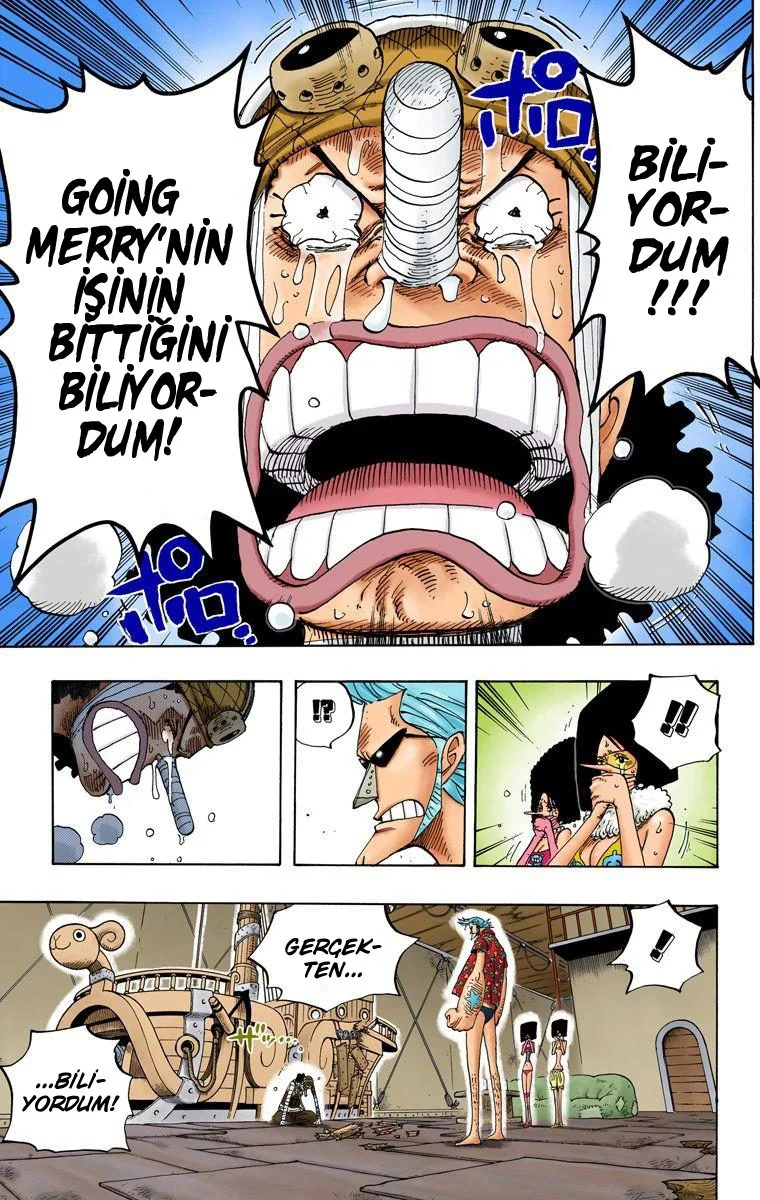 One Piece - Bölüm 351 - Sayfa 13