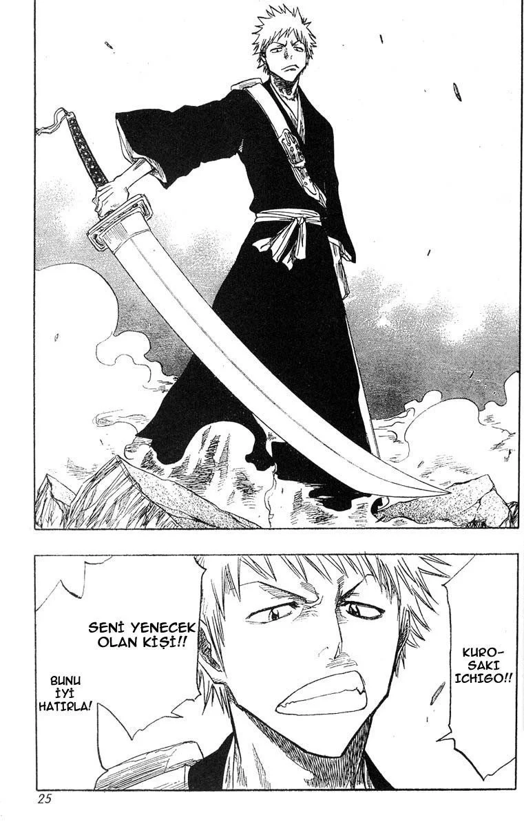 Bleach - Bölüm 53 - Sayfa 21
