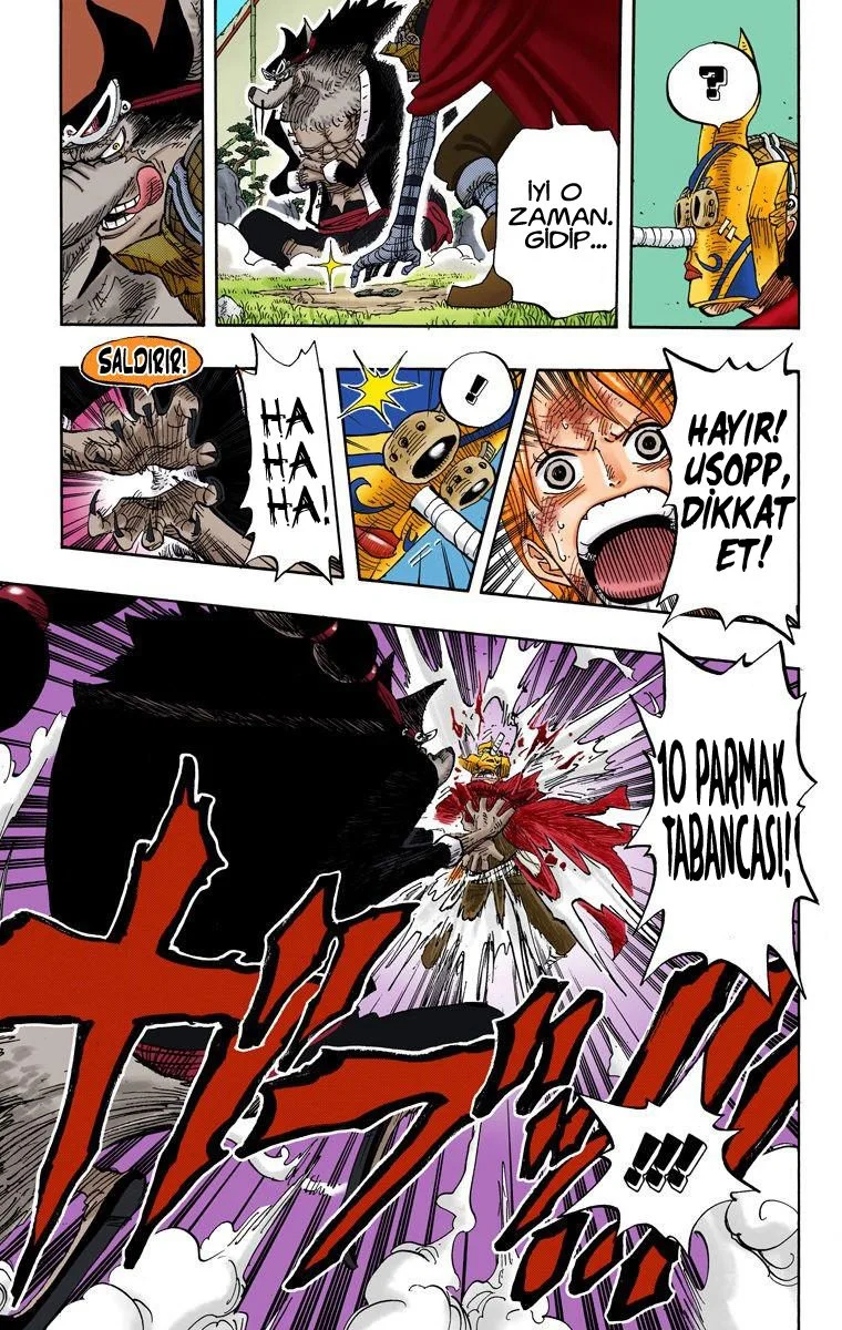 One Piece - Bölüm 413 - Sayfa 13