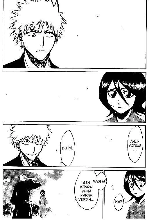 Bleach - Bölüm 181 - Sayfa 15