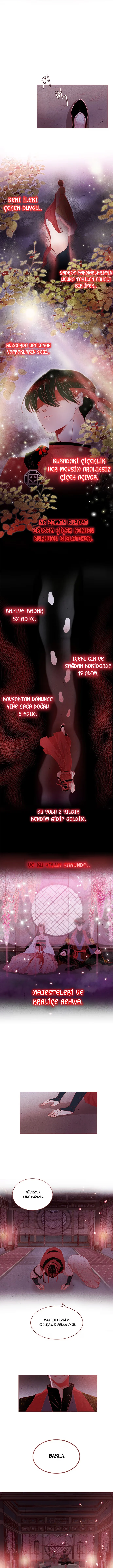 The Snake and the Flower - Bölüm 2 - Sayfa 6
