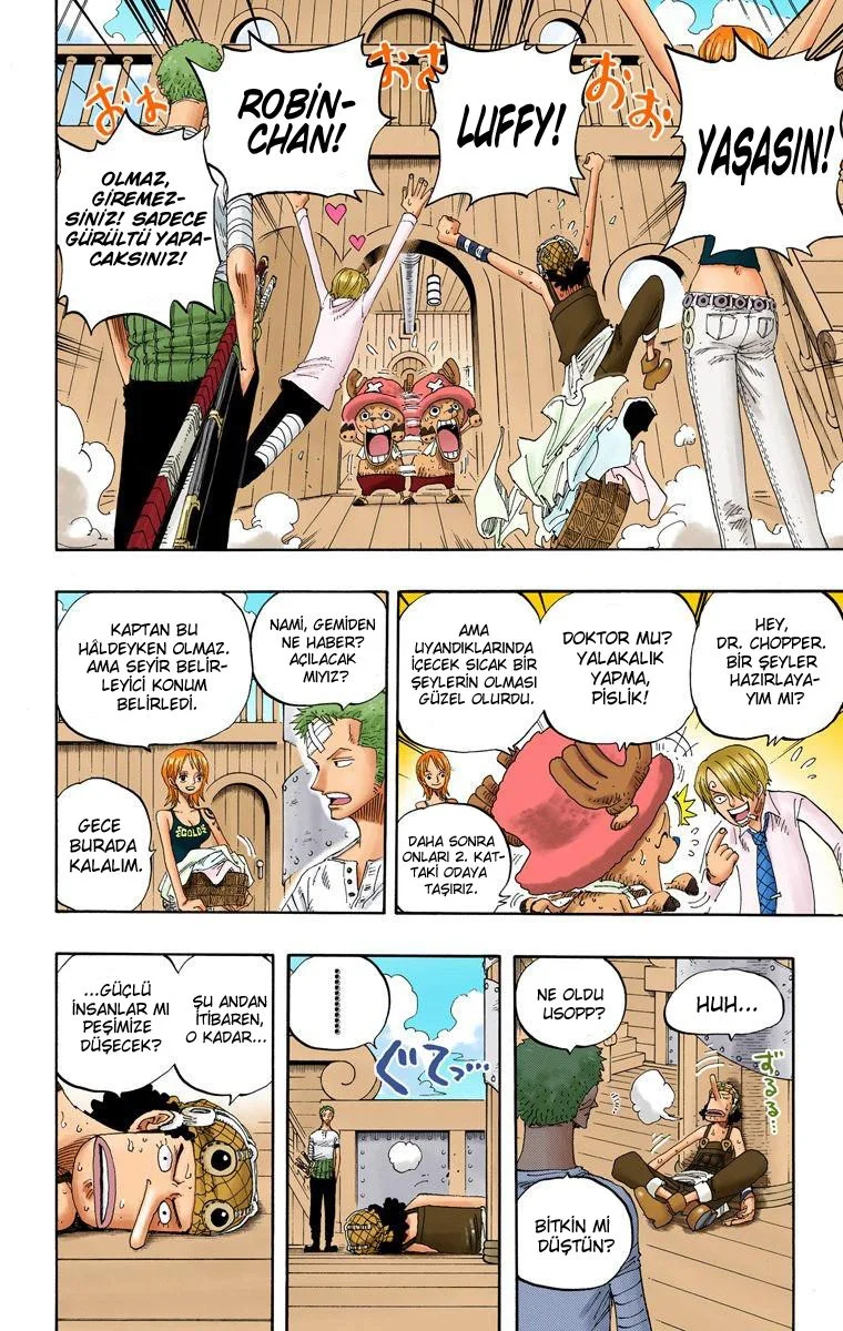 One Piece - Bölüm 321 - Sayfa 17
