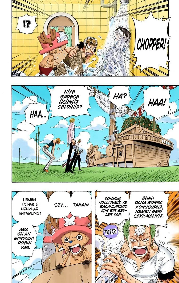 One Piece - Bölüm 321 - Sayfa 4