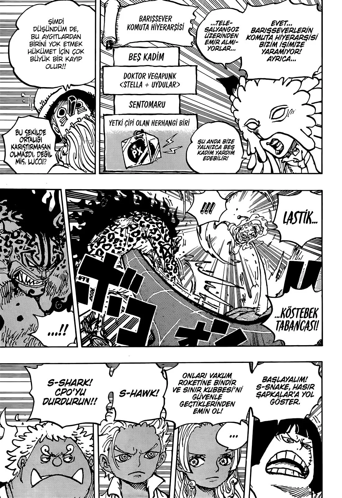 One Piece - Bölüm 1069 - Sayfa 13