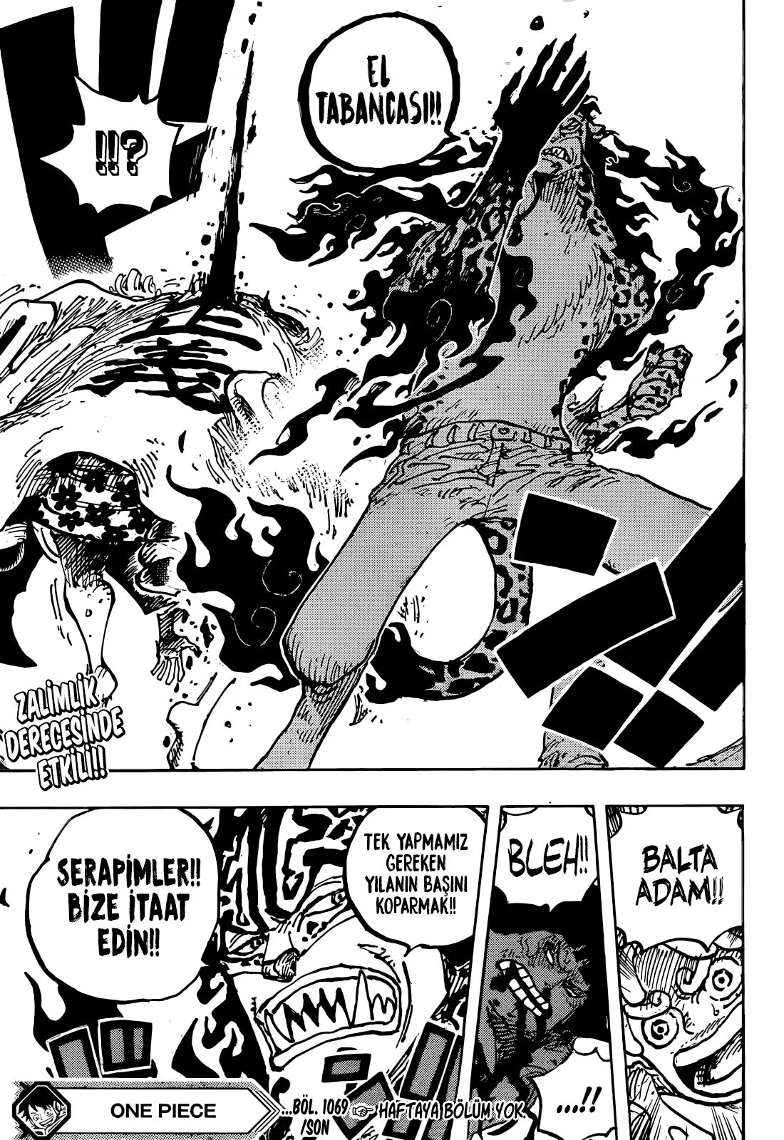 One Piece - Bölüm 1069 - Sayfa 15