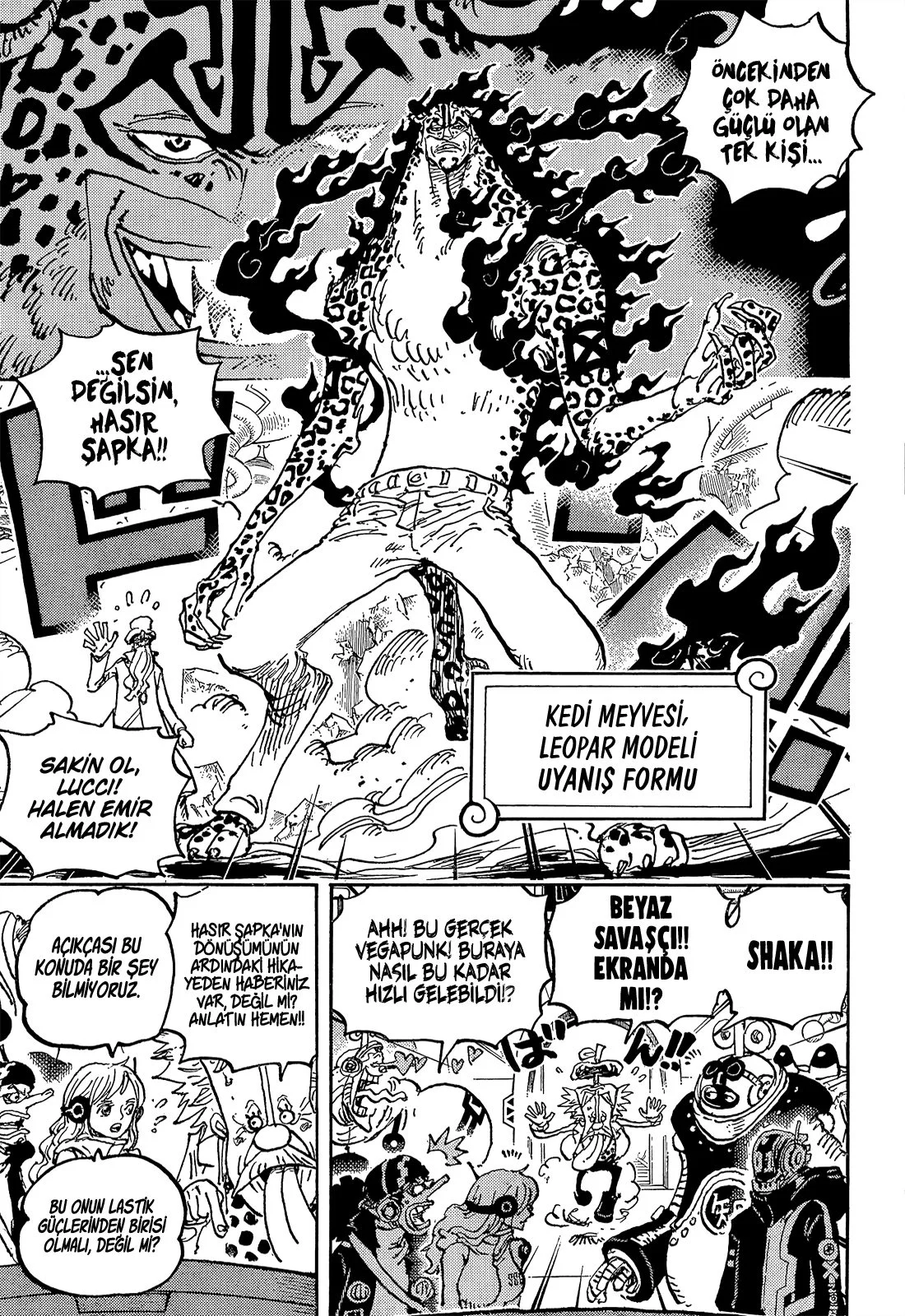 One Piece - Bölüm 1069 - Sayfa 8