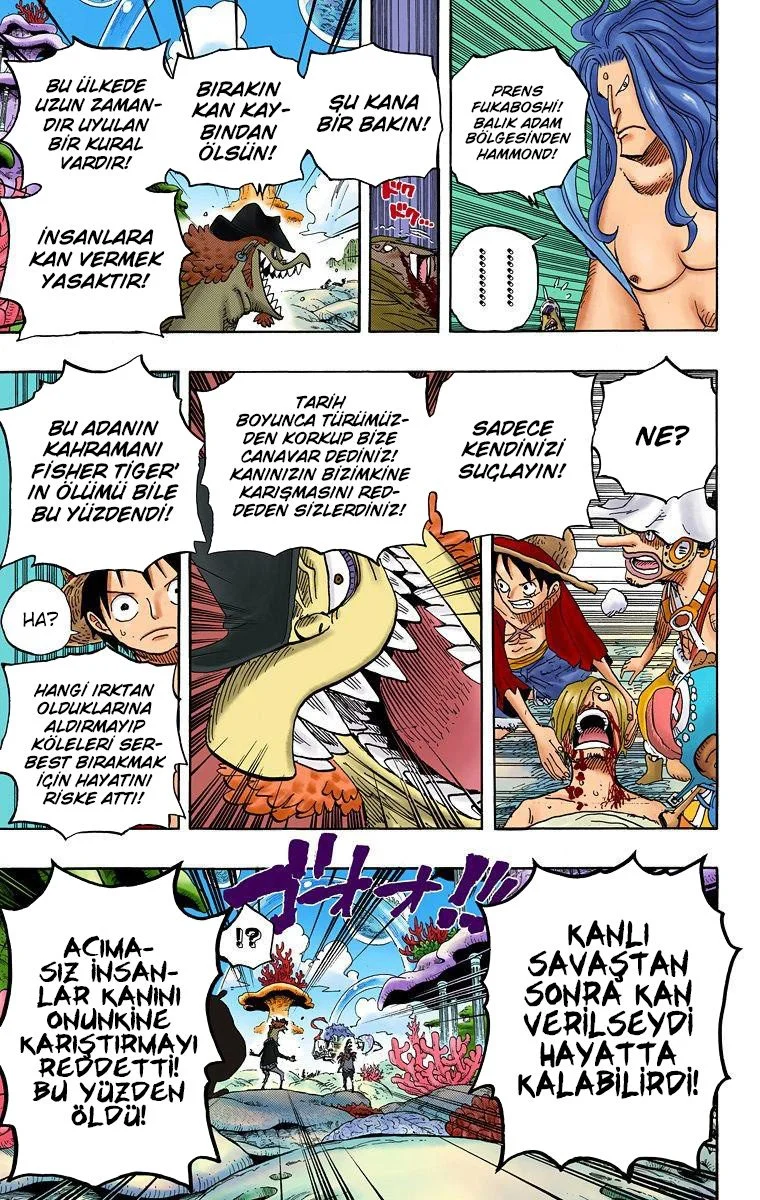 One Piece - Bölüm 609 - Sayfa 10