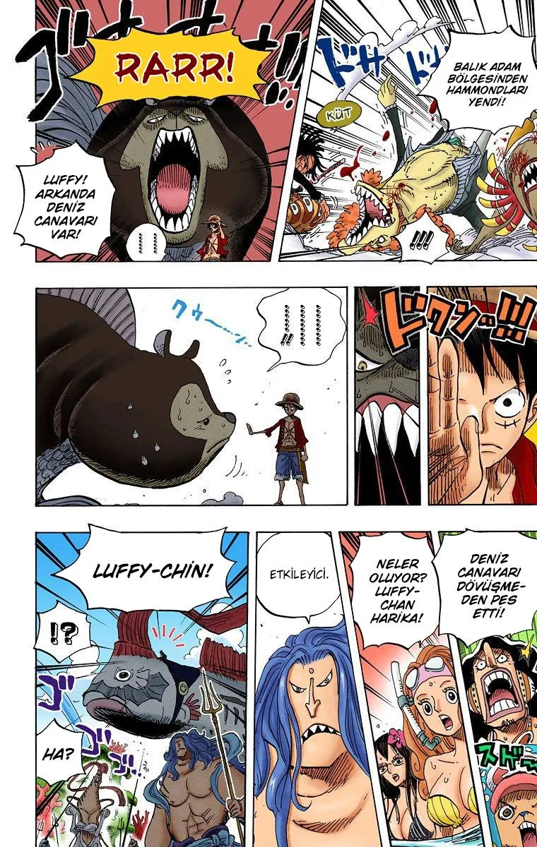One Piece - Bölüm 609 - Sayfa 13