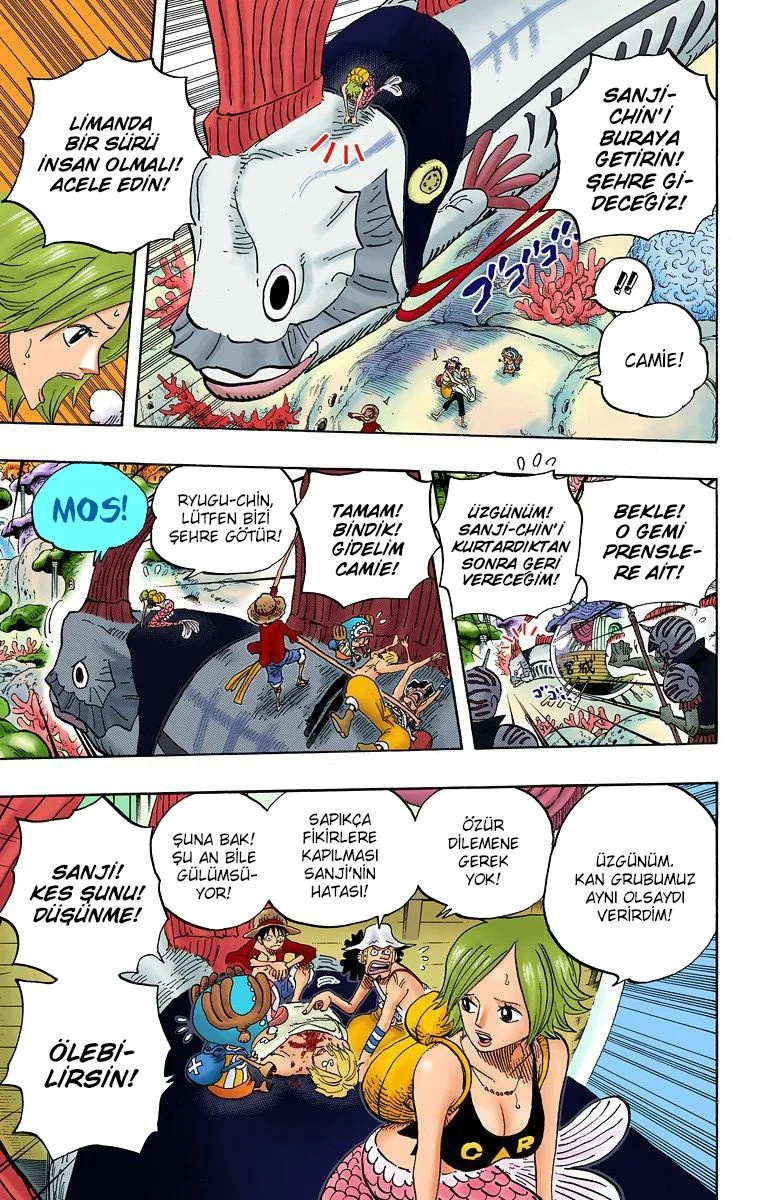 One Piece - Bölüm 609 - Sayfa 14