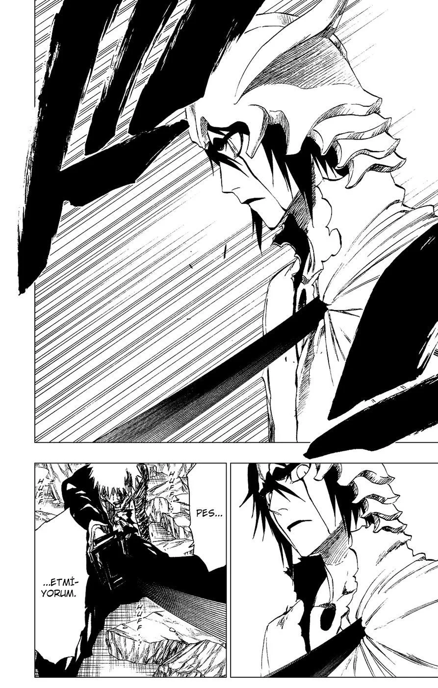 Bleach - Bölüm 271 - Sayfa 14