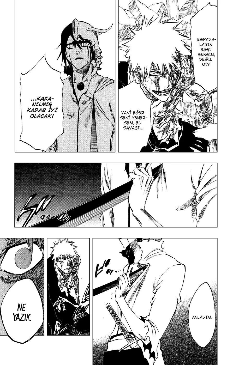 Bleach - Bölüm 271 - Sayfa 15