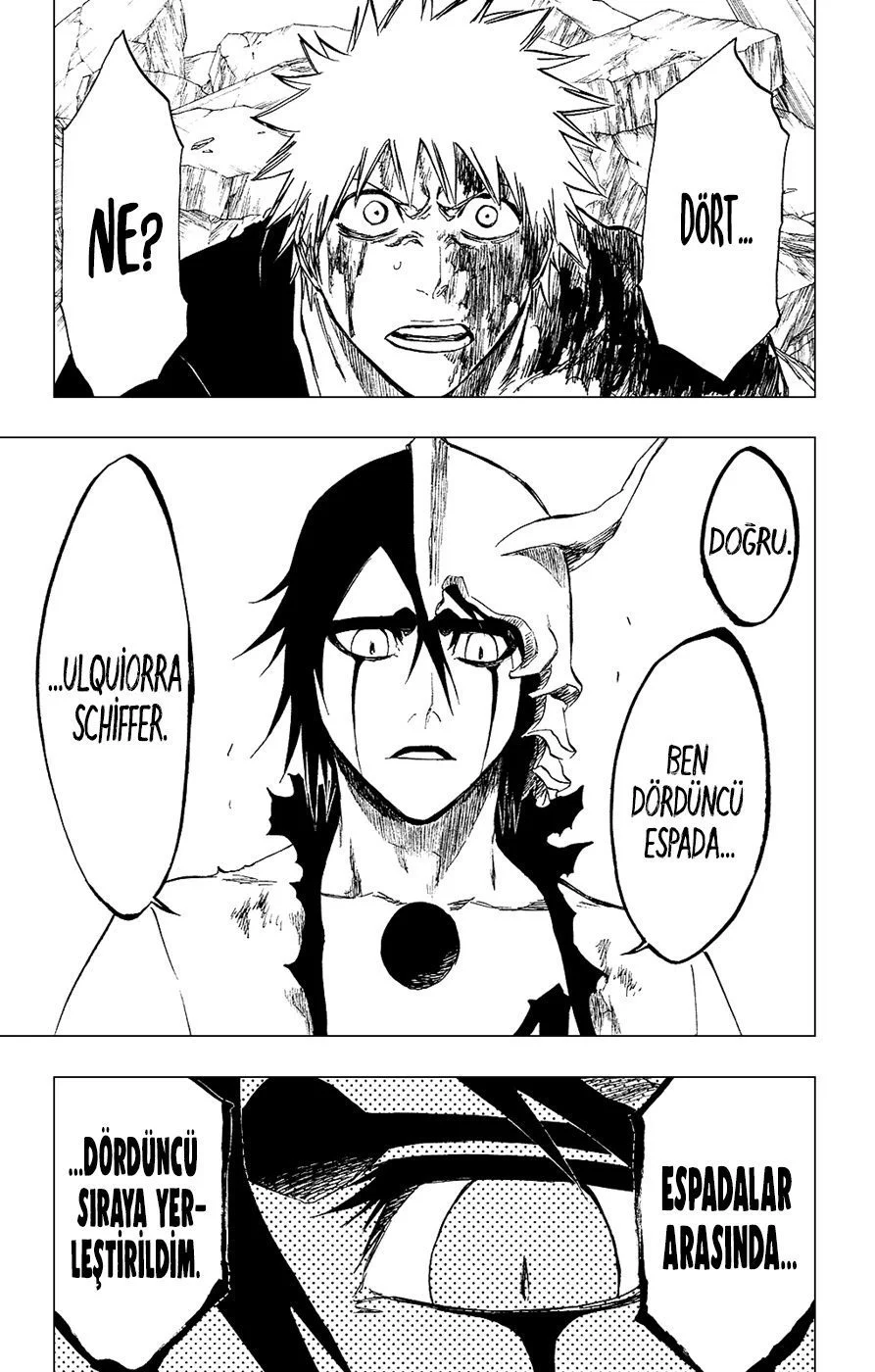 Bleach - Bölüm 271 - Sayfa 17