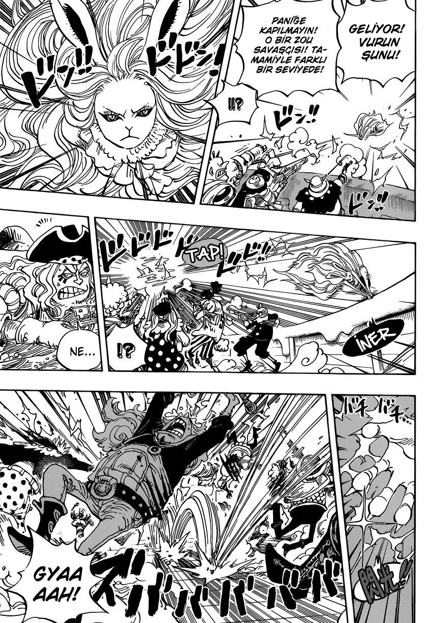 One Piece - Bölüm 888 - Sayfa 13