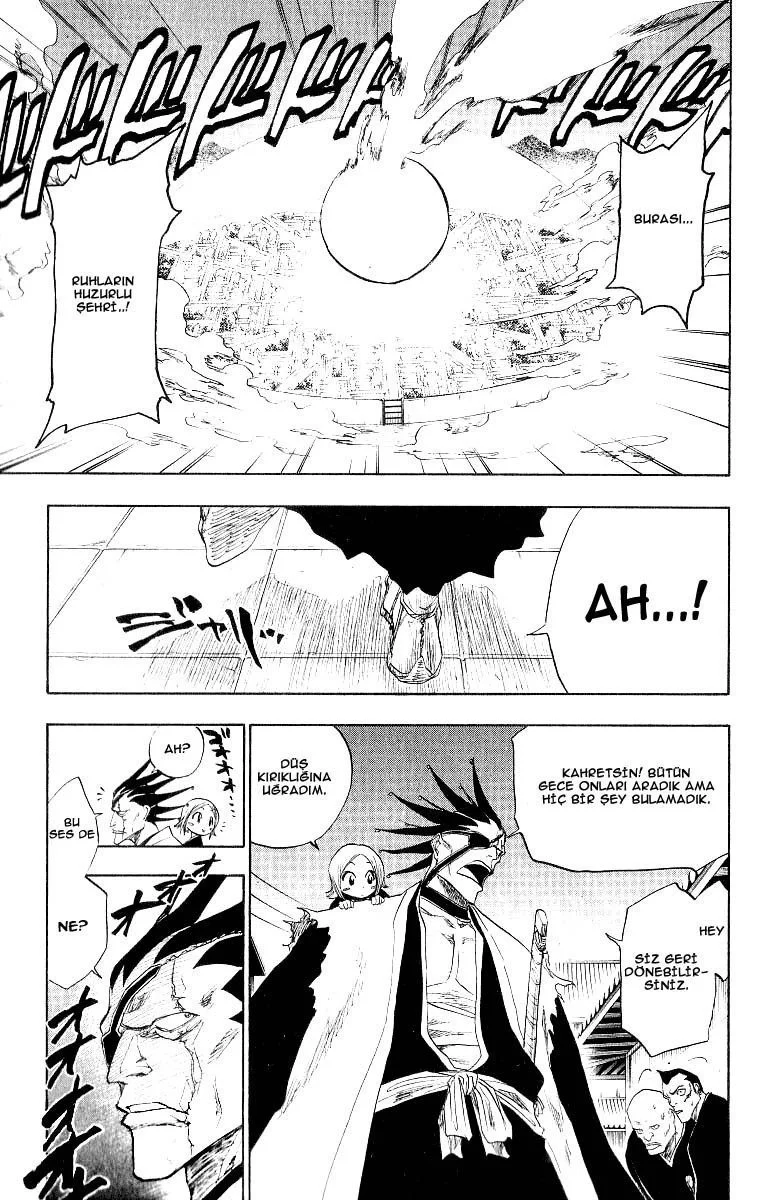 Bleach - Bölüm 84 - Sayfa 17