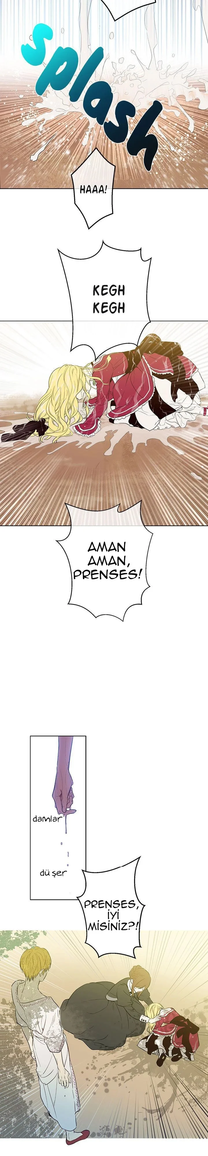 Who Made Me a Princess - Bölüm 10 - Sayfa 10