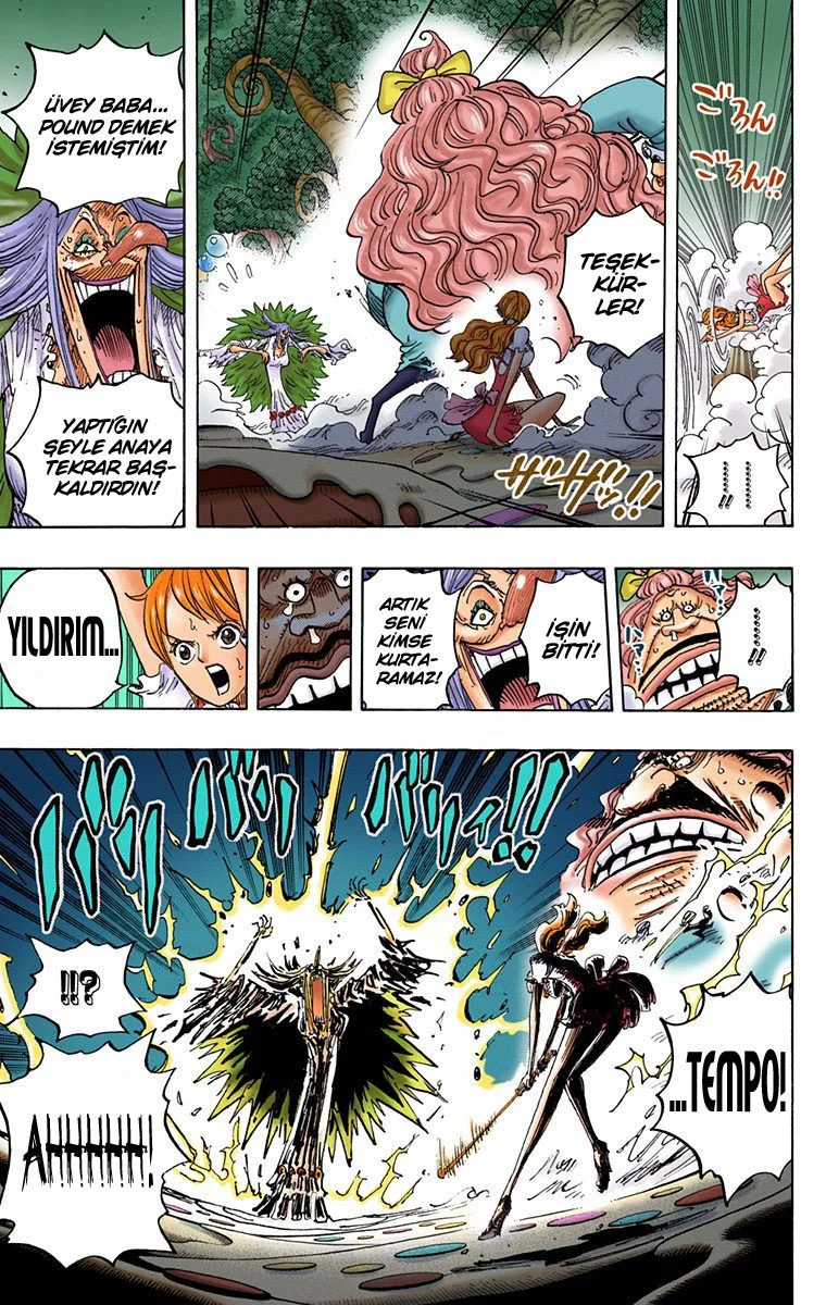 One Piece - Bölüm 837 - Sayfa 10