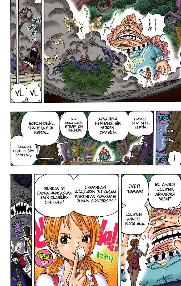 One Piece - Bölüm 837 - Sayfa 11