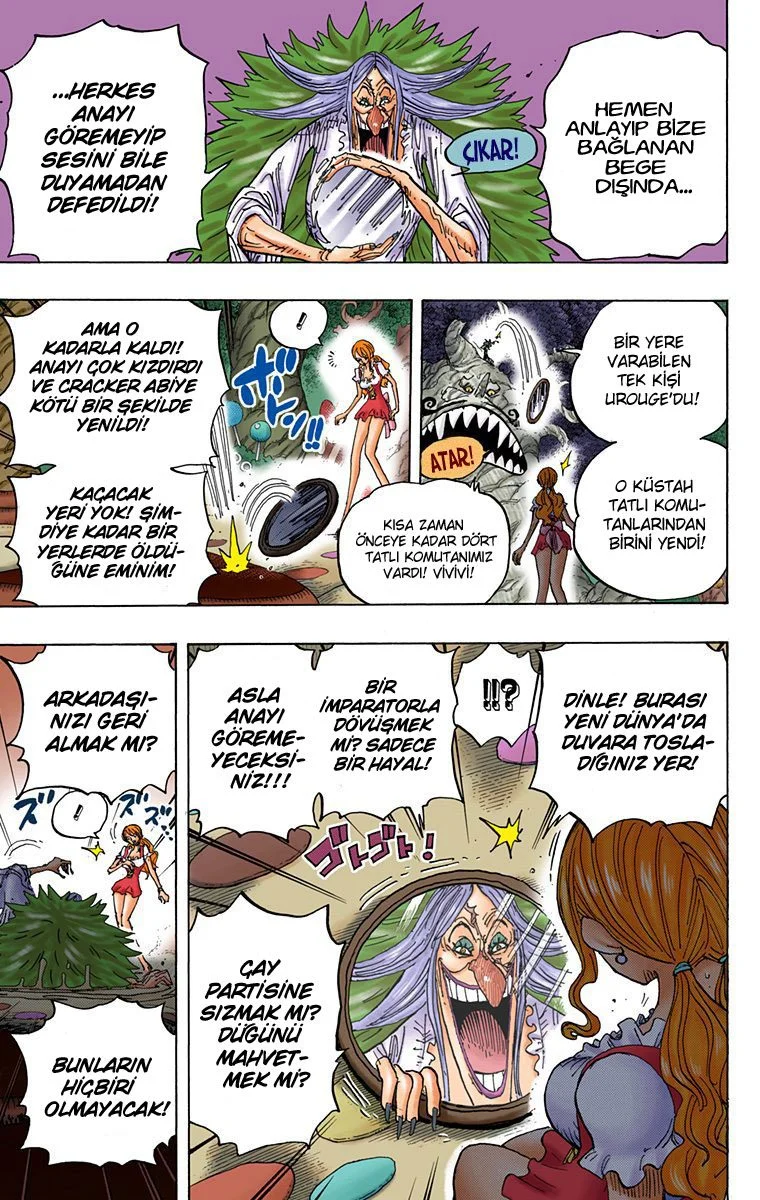 One Piece - Bölüm 837 - Sayfa 8