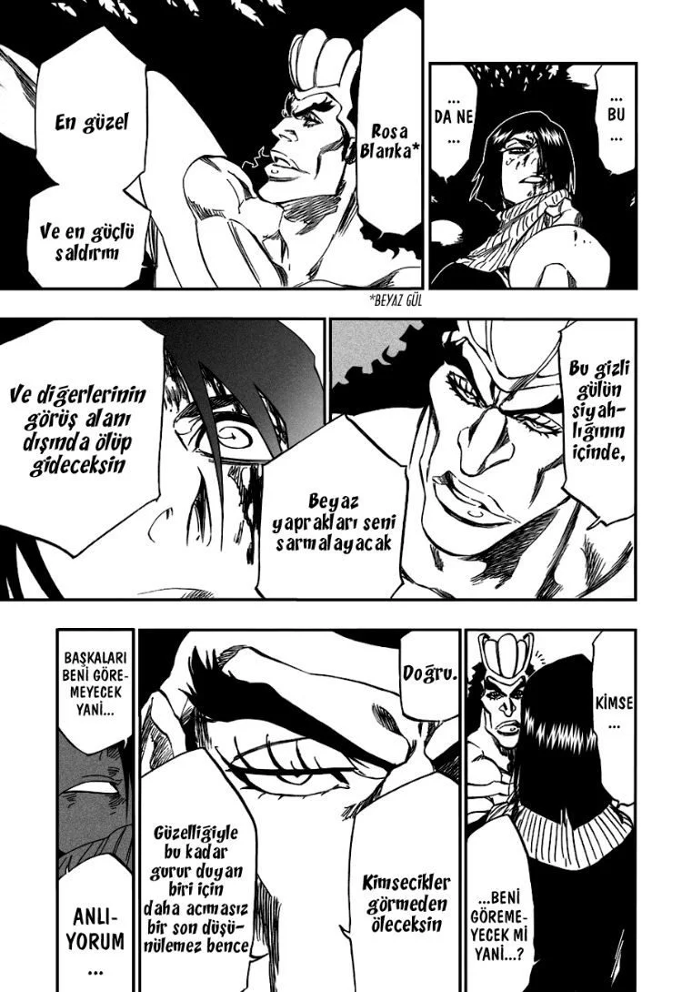 Bleach - Bölüm 321 - Sayfa 13