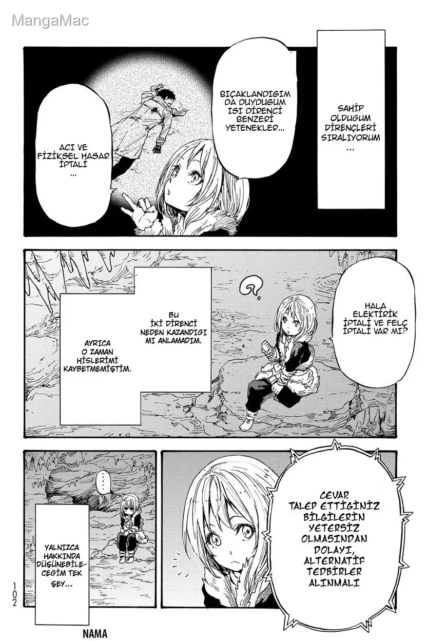 That Time I Got Reincarnated as a Slime - Bölüm 12 - Sayfa 17