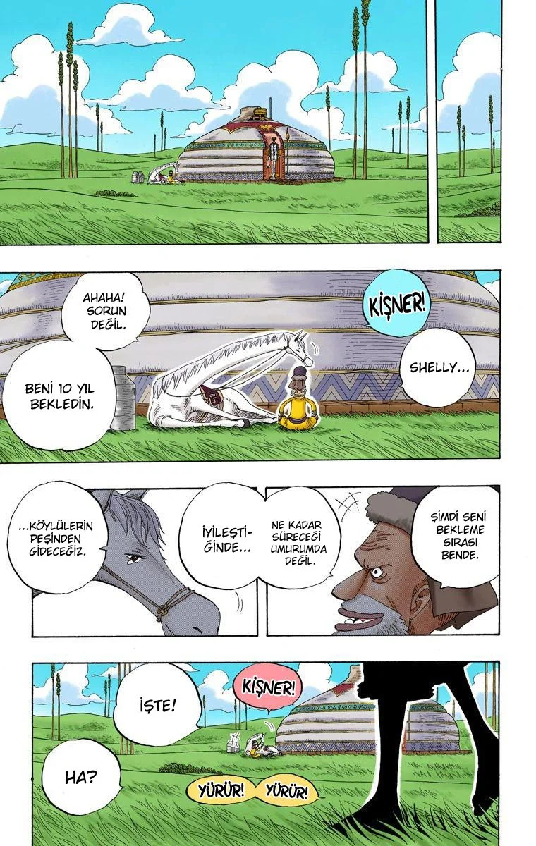One Piece - Bölüm 318 - Sayfa 15