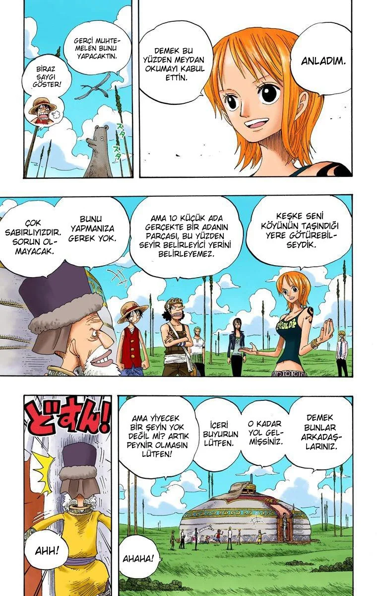 One Piece - Bölüm 318 - Sayfa 17