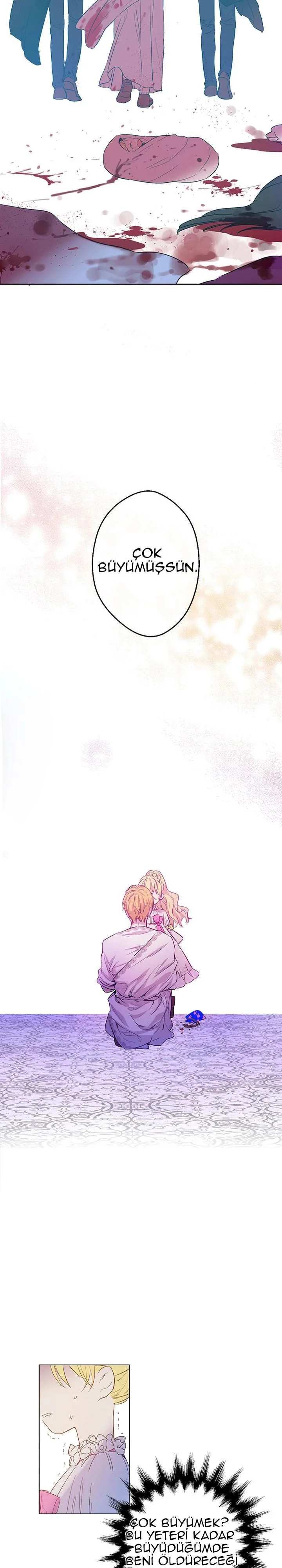 Who Made Me a Princess - Bölüm 6 - Sayfa 12