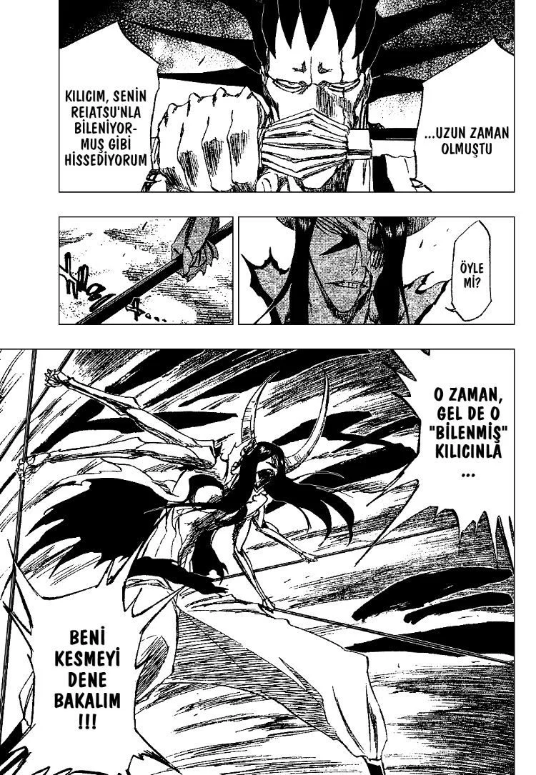 Bleach - Bölüm 309 - Sayfa 14