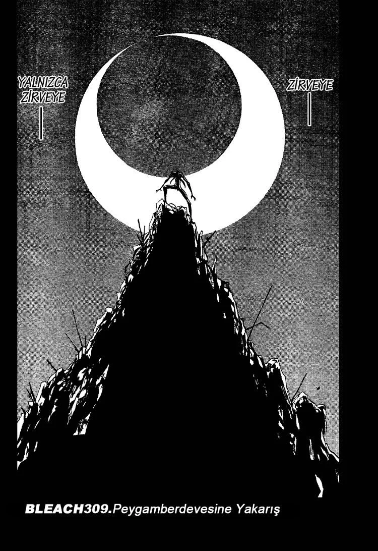 Bleach - Bölüm 309 - Sayfa 8
