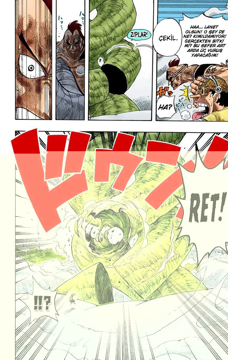 One Piece - Bölüm 296 - Sayfa 14