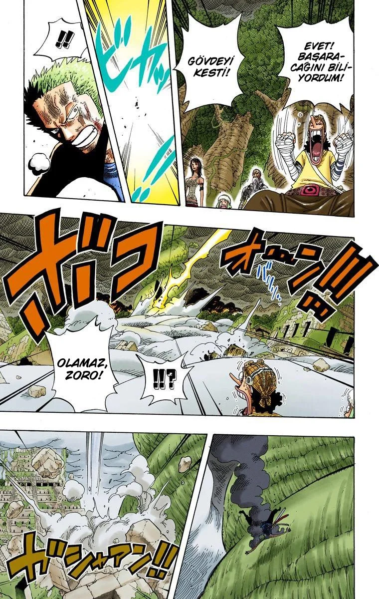 One Piece - Bölüm 296 - Sayfa 5