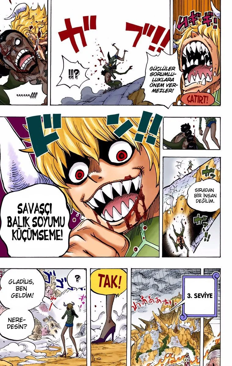 One Piece - Bölüm 772 - Sayfa 14