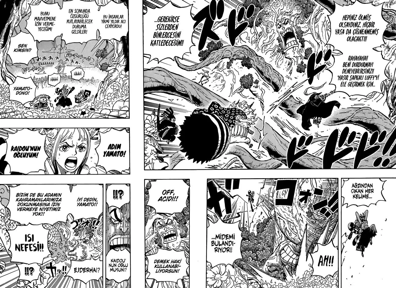 One Piece - Bölüm 1054 - Sayfa 5