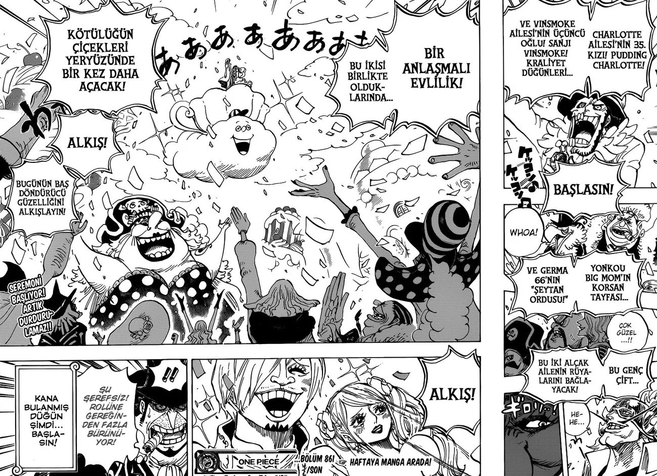 One Piece - Bölüm 861 - Sayfa 15