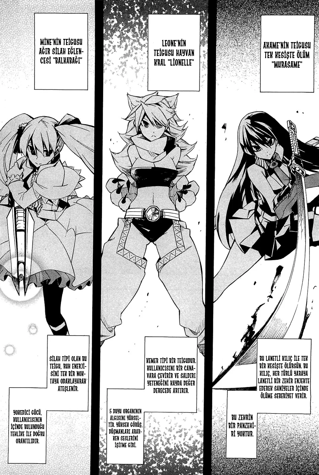 Akame ga Kill! - Bölüm 5 - Sayfa 18