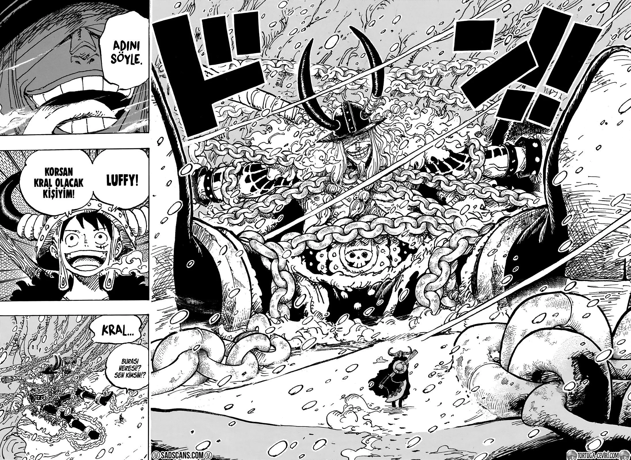 One Piece - Bölüm 1130 - Sayfa 13