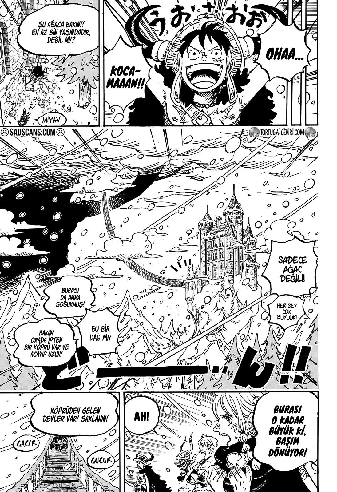 One Piece - Bölüm 1130 - Sayfa 4