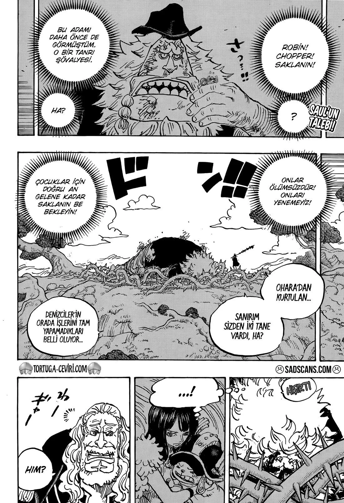 One Piece - Bölüm 1147 - Sayfa 4