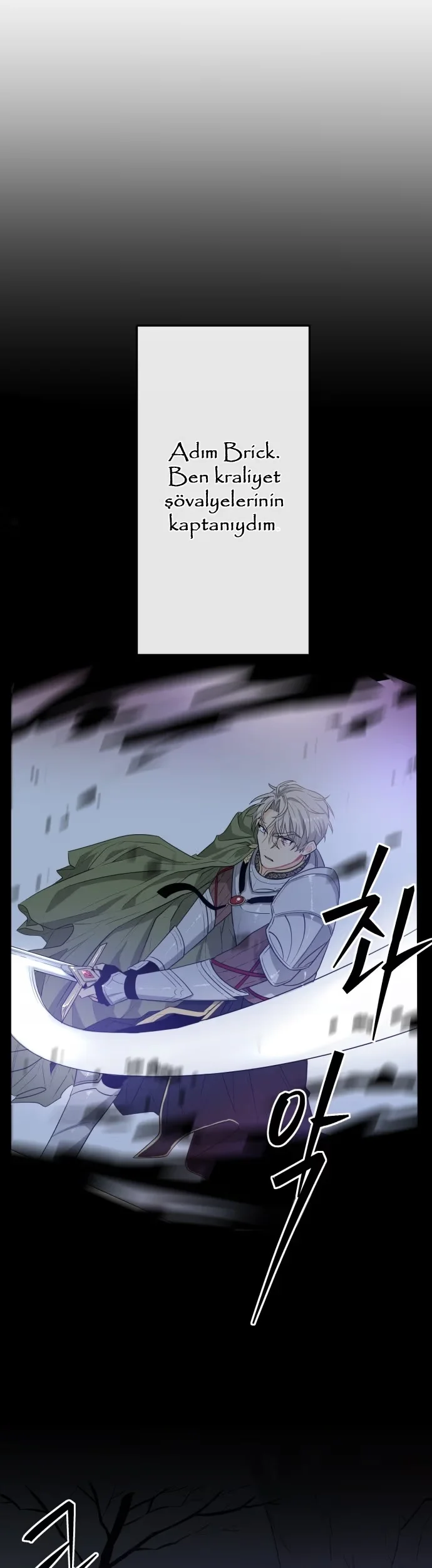 Protect Me, Knight - Bölüm 2 - Sayfa 21