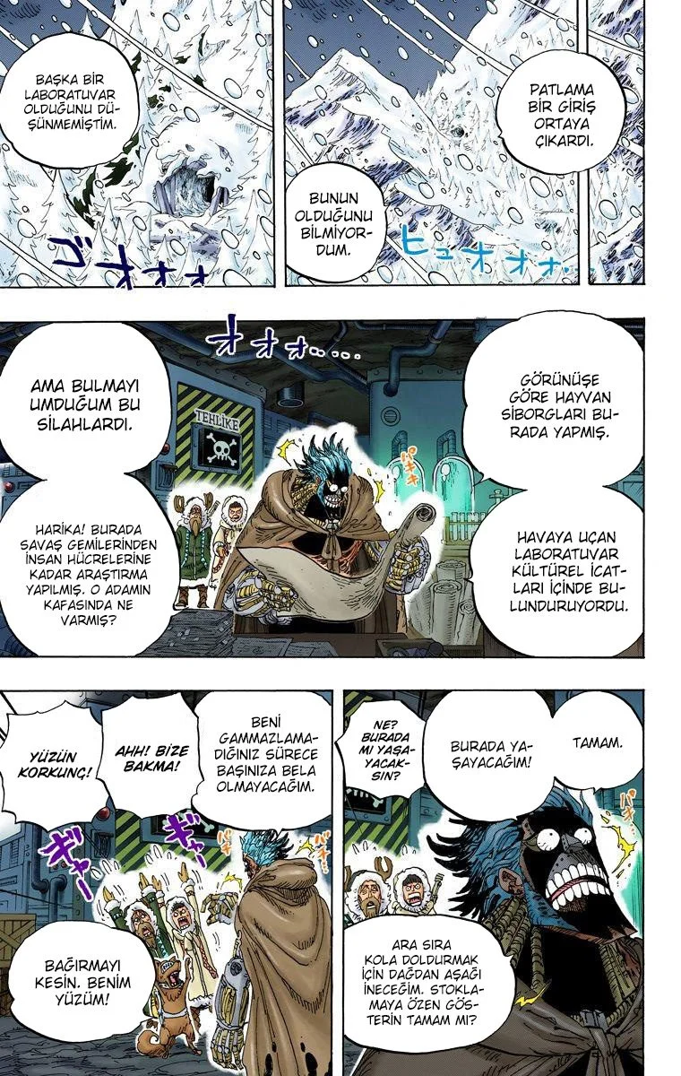 One Piece - Bölüm 596 - Sayfa 13