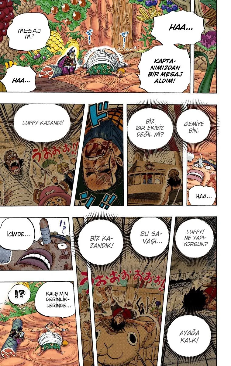 One Piece - Bölüm 596 - Sayfa 17