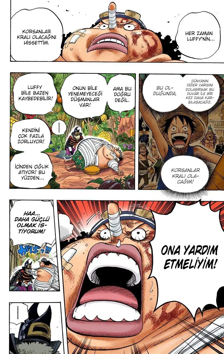 One Piece - Bölüm 596 - Sayfa 18