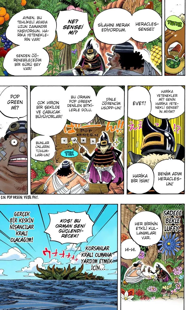 One Piece - Bölüm 596 - Sayfa 19