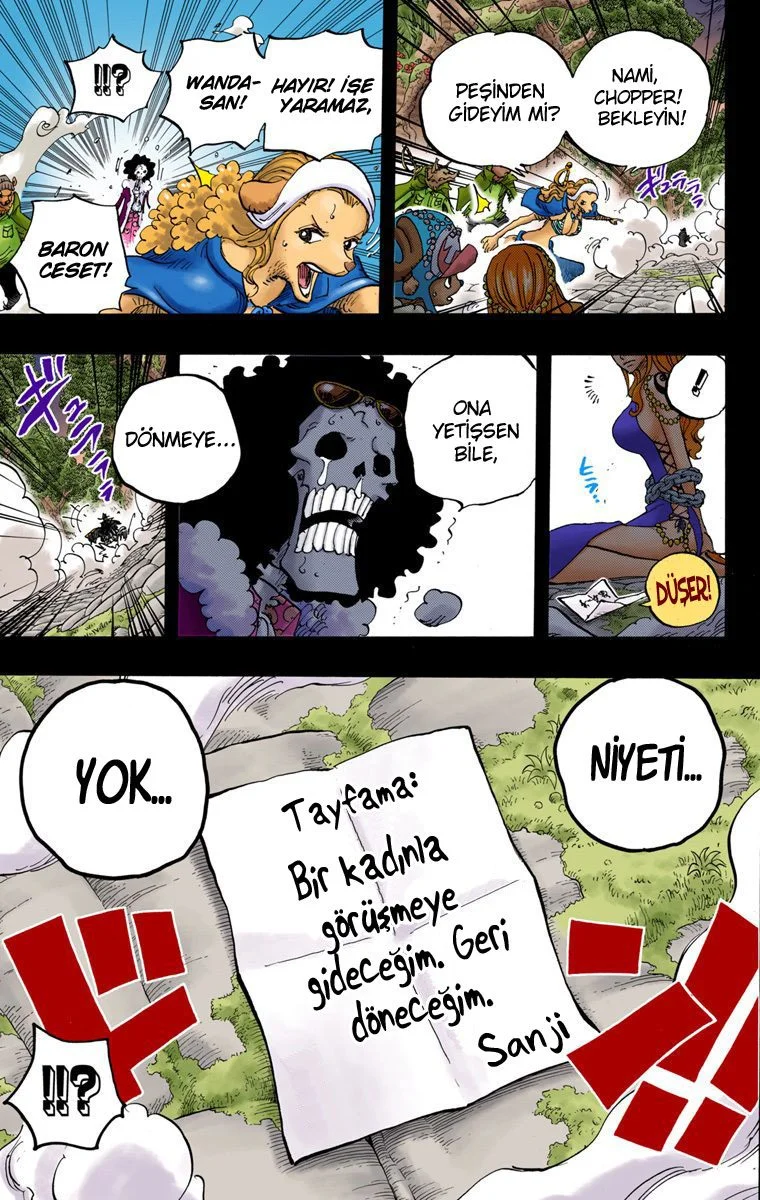 One Piece - Bölüm 813 - Sayfa 17