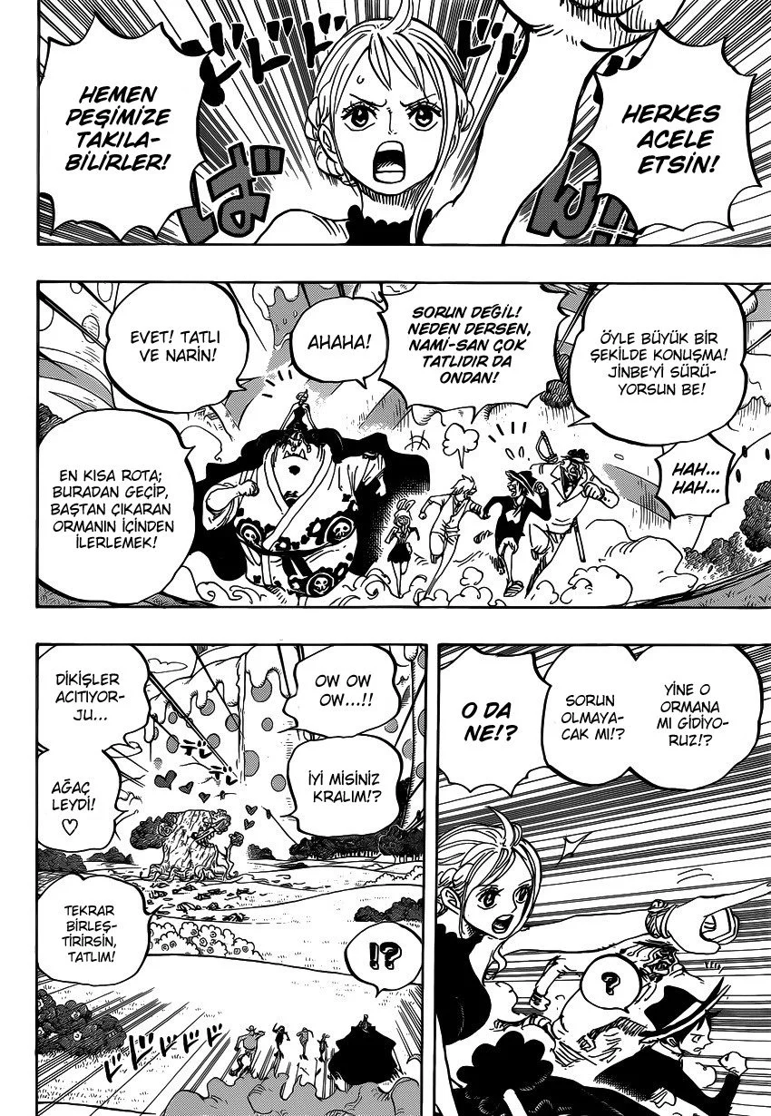 One Piece - Bölüm 873 - Sayfa 13