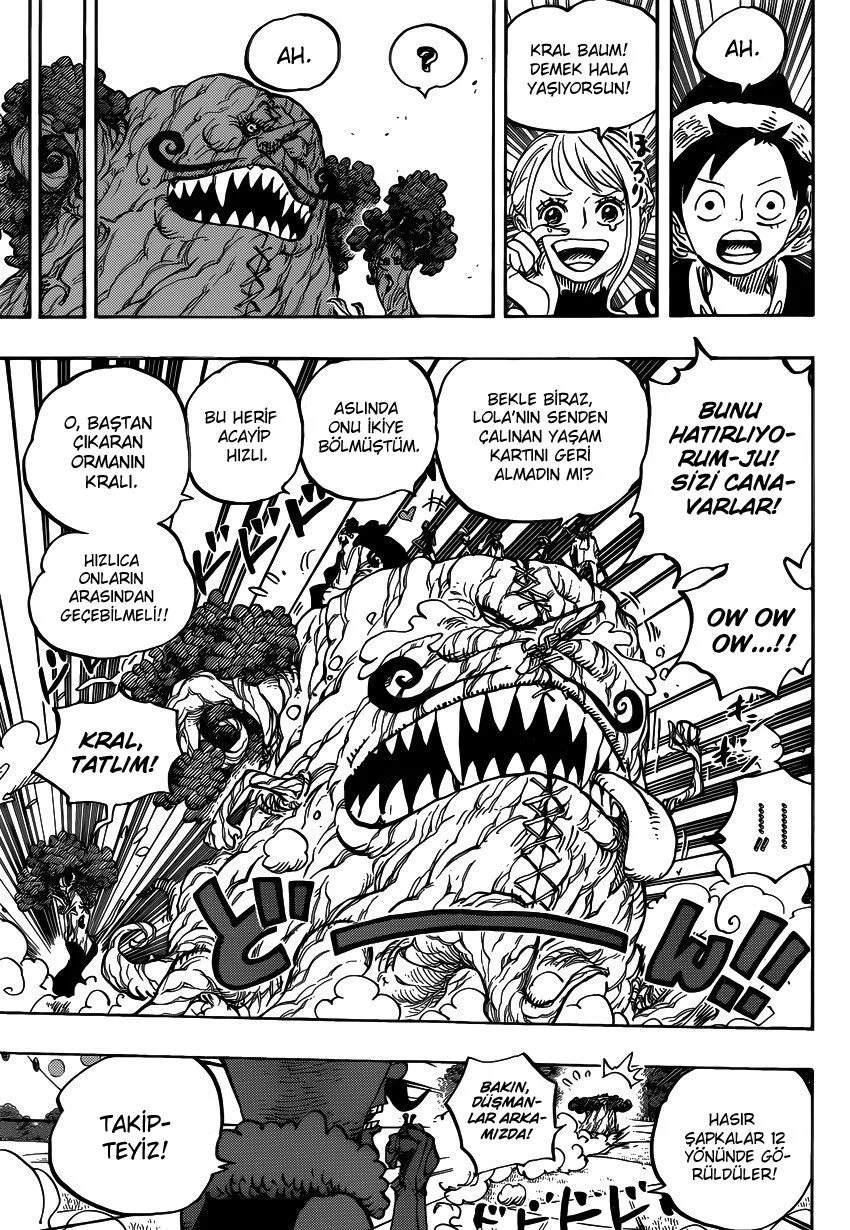 One Piece - Bölüm 873 - Sayfa 14
